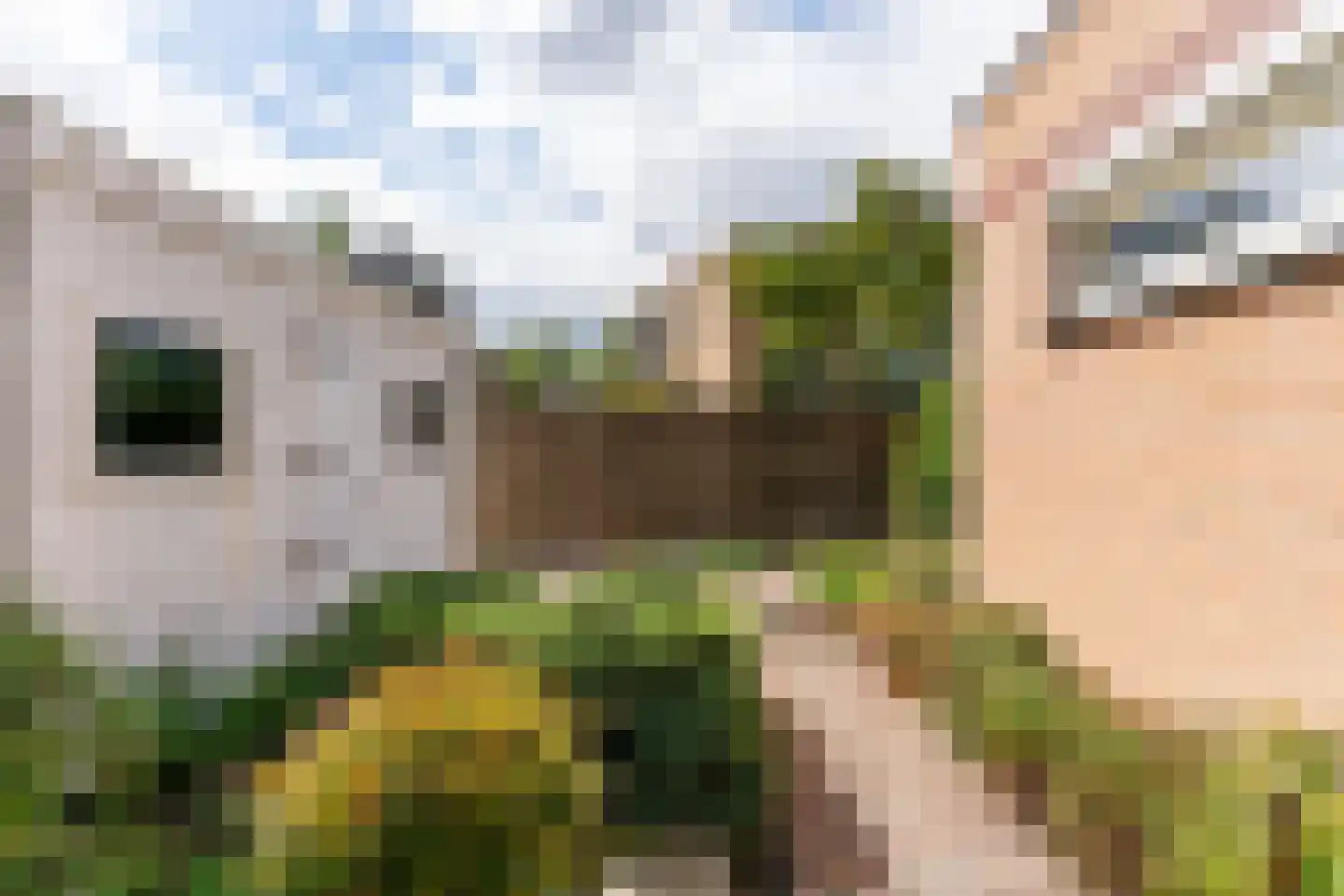 Vijverlaan 5 Heiloo thumbnail 40