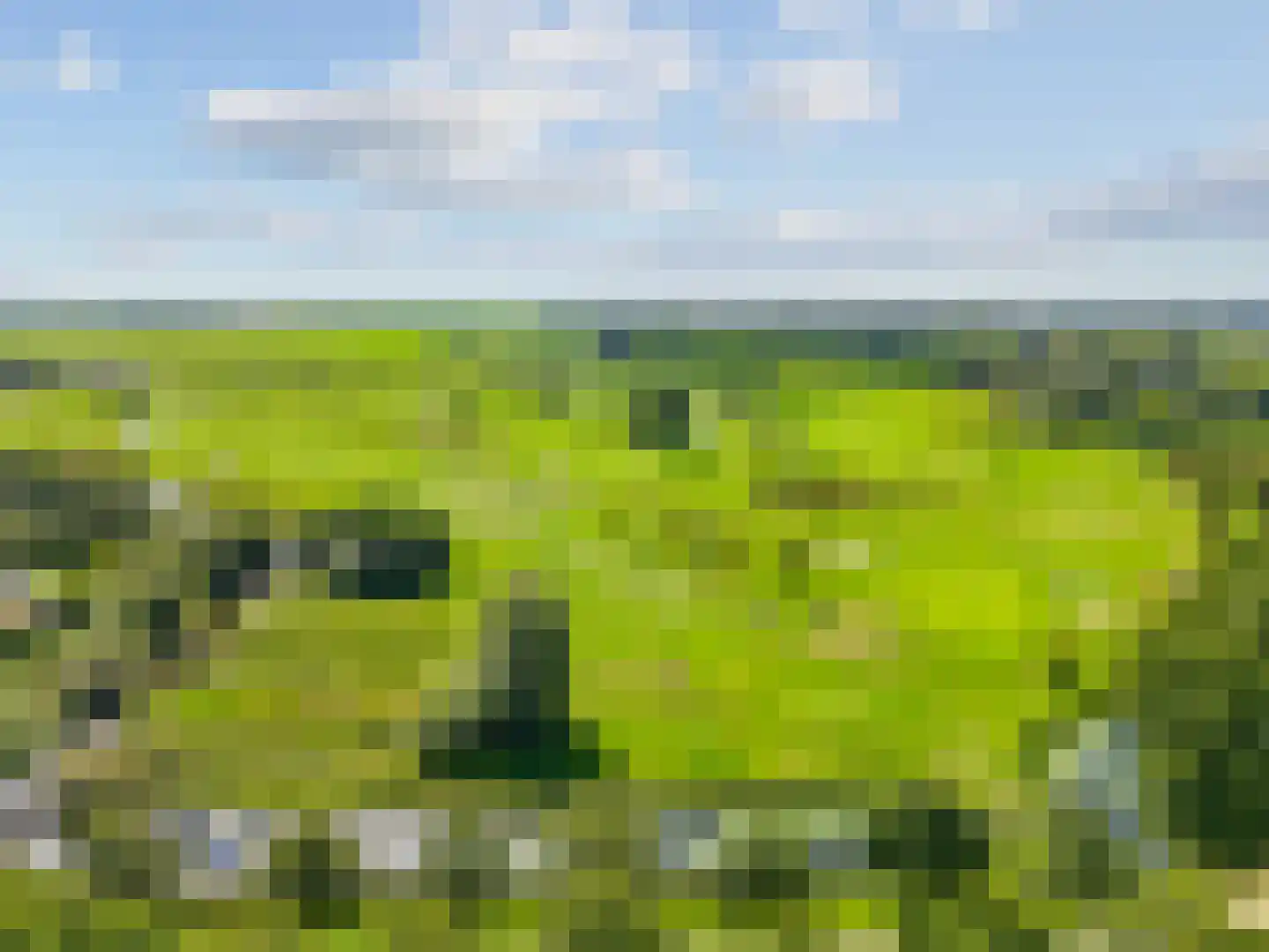 Vijverlaan 5 Heiloo thumbnail 48