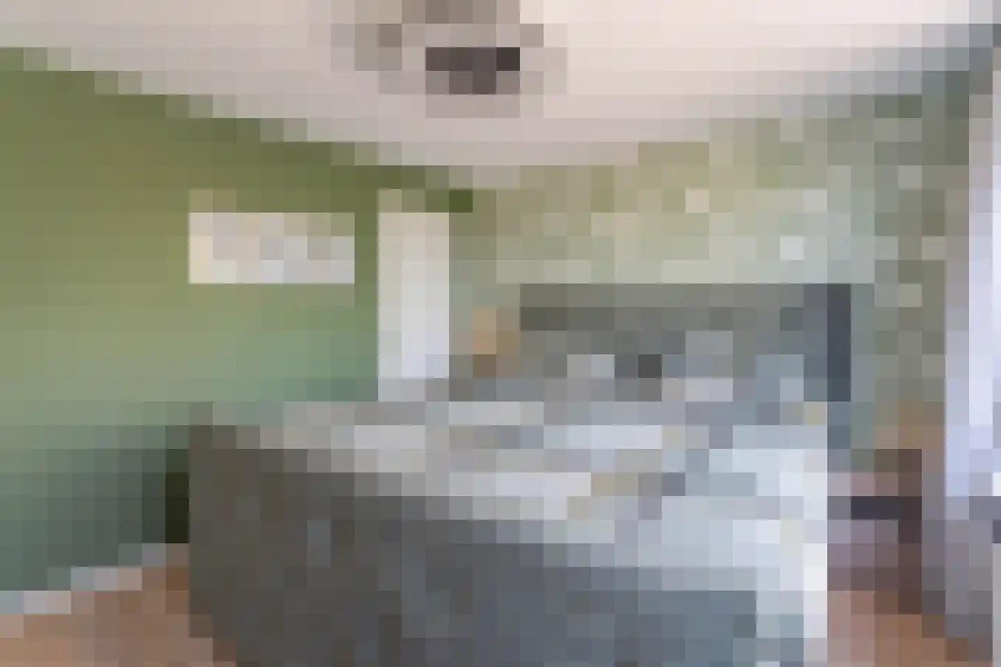 Vijverlaan 50 Waddinxveen thumbnail 20