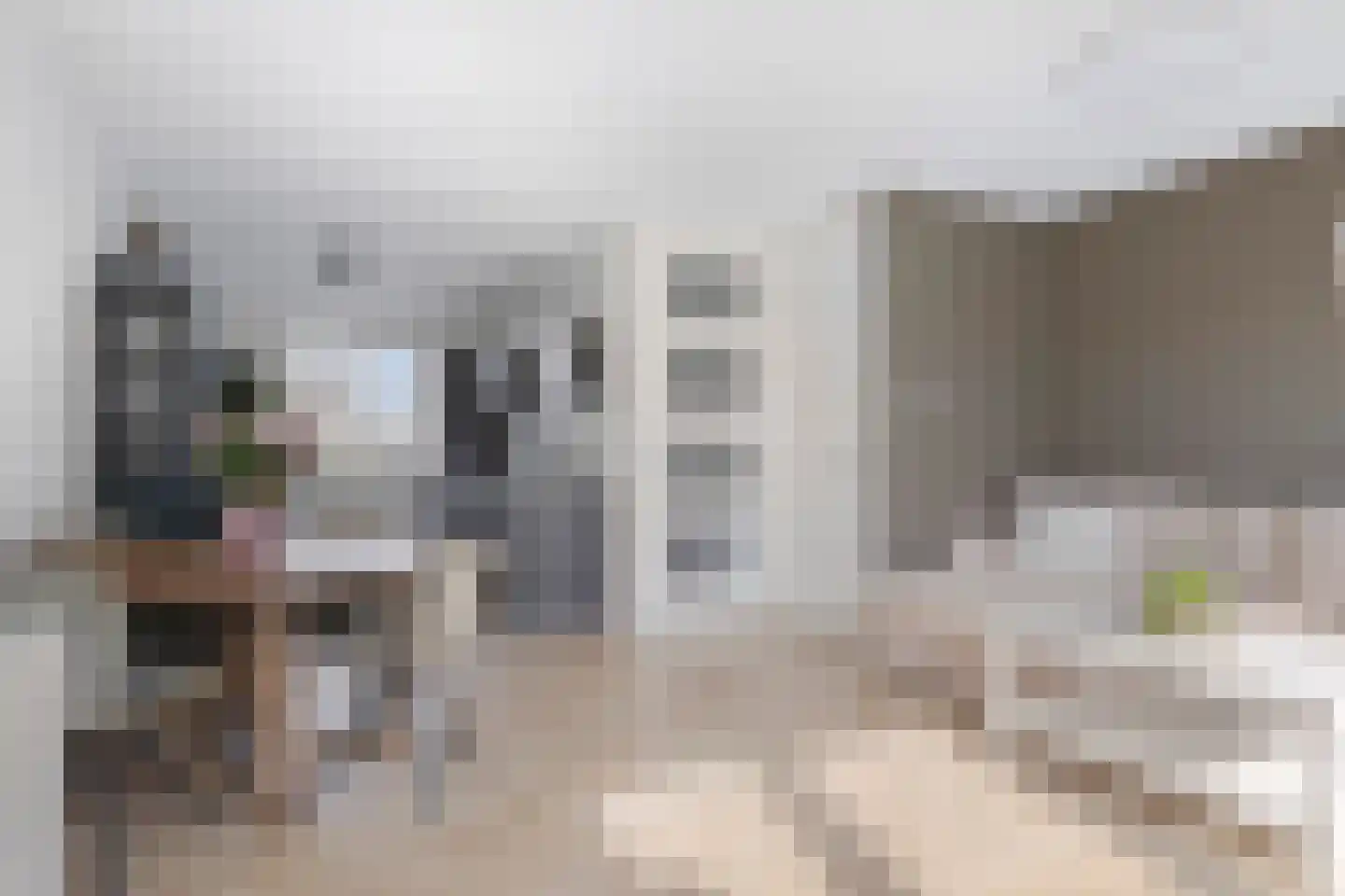 Vijverlaan 52 Tiel thumbnail 4