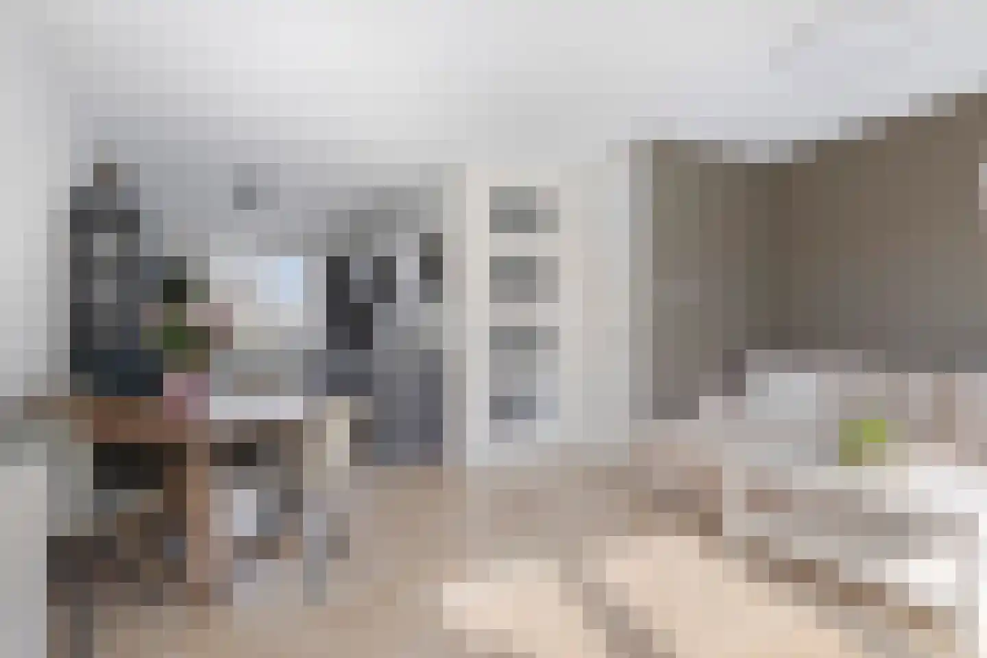 Vijverlaan 52 Tiel thumbnail 4