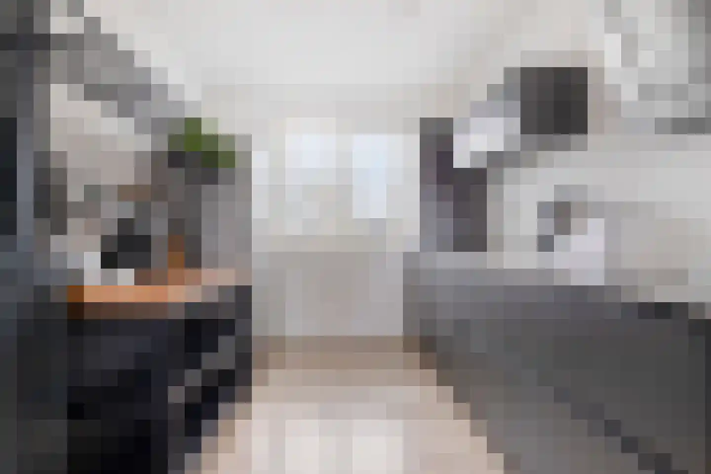 Vijverlaan 52 Tiel thumbnail 6