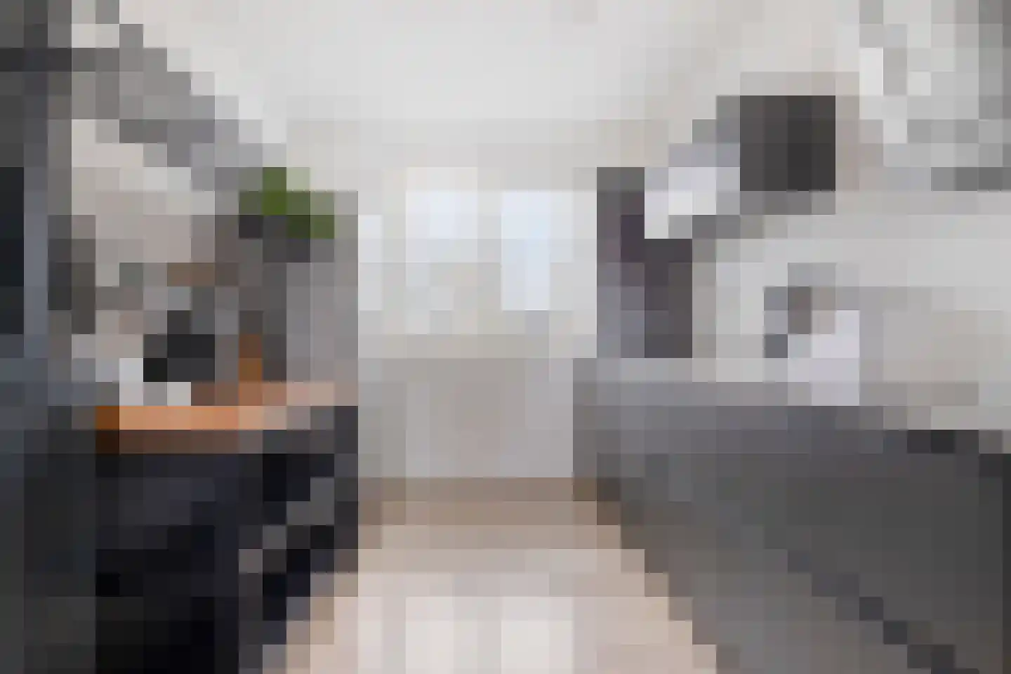 Vijverlaan 52 Tiel thumbnail 6