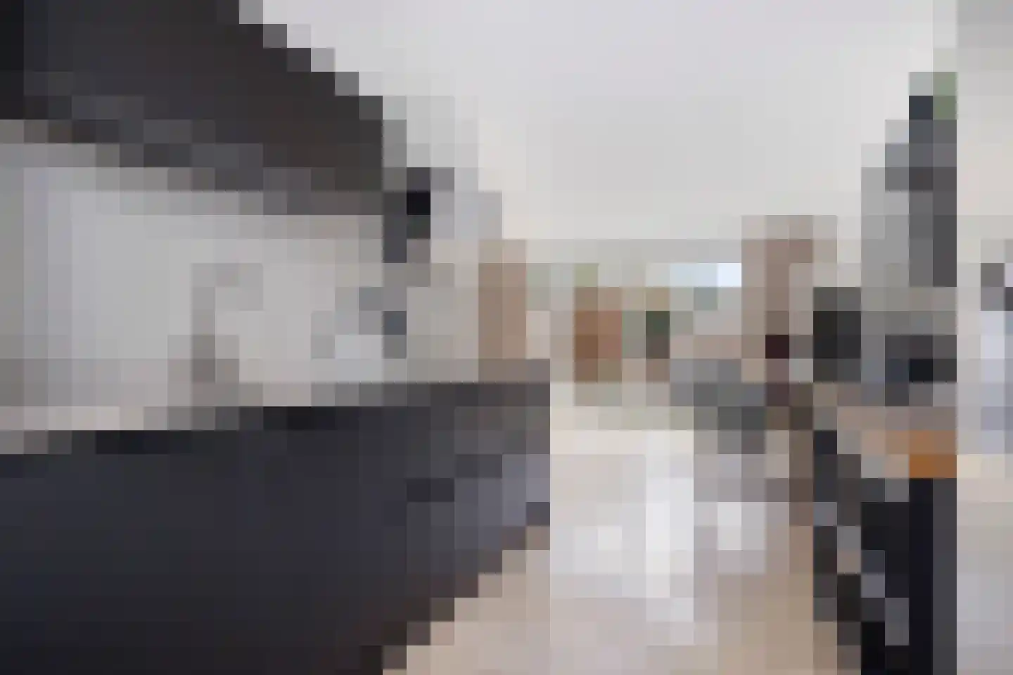 Vijverlaan 52 Tiel thumbnail 8