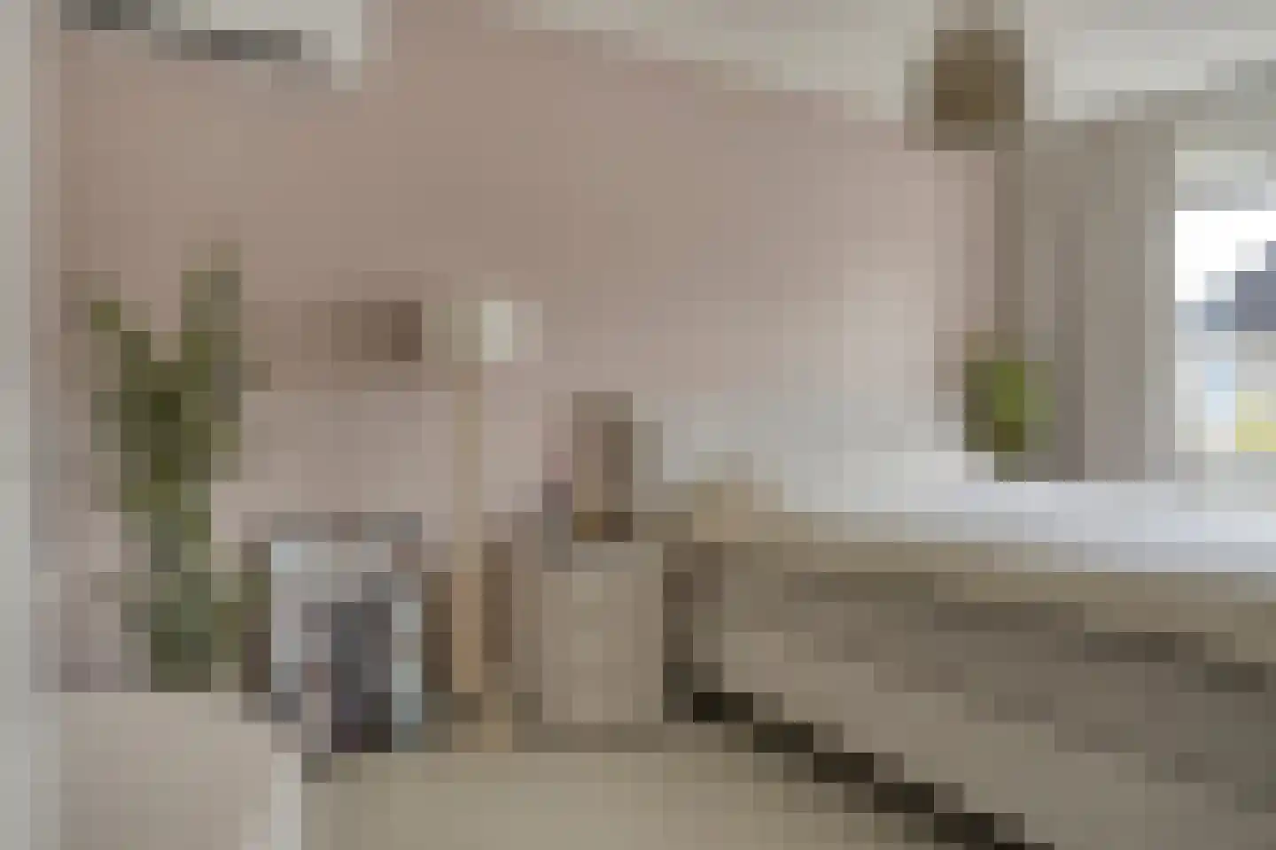 Vijverlaan 54 Tiel thumbnail 17