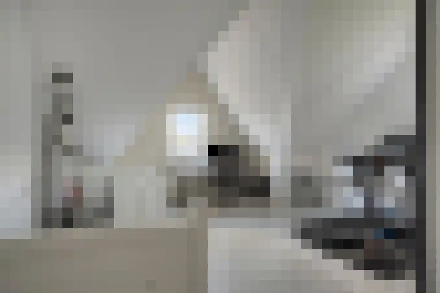 Vijverlaan 54 Tiel thumbnail 24