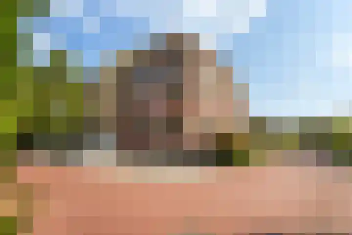 Vijverlaan 55 Dordrecht thumbnail 4