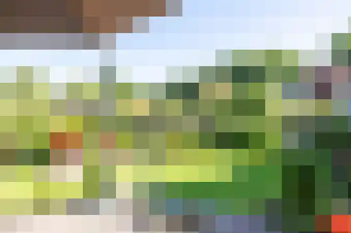 Vijverlaan 6 Harkstede thumbnail 30