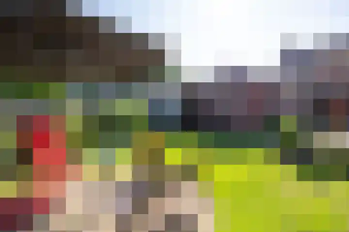 Vijverlaan 6 Harkstede thumbnail 33