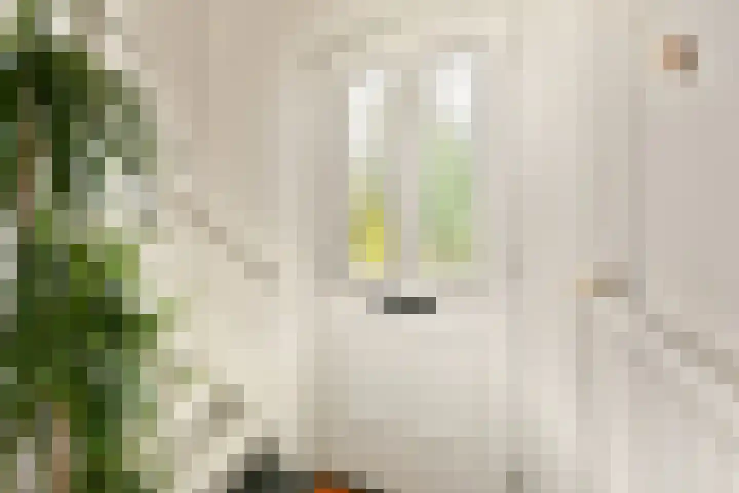 Vijverlaan 6 Sassenheim thumbnail 18