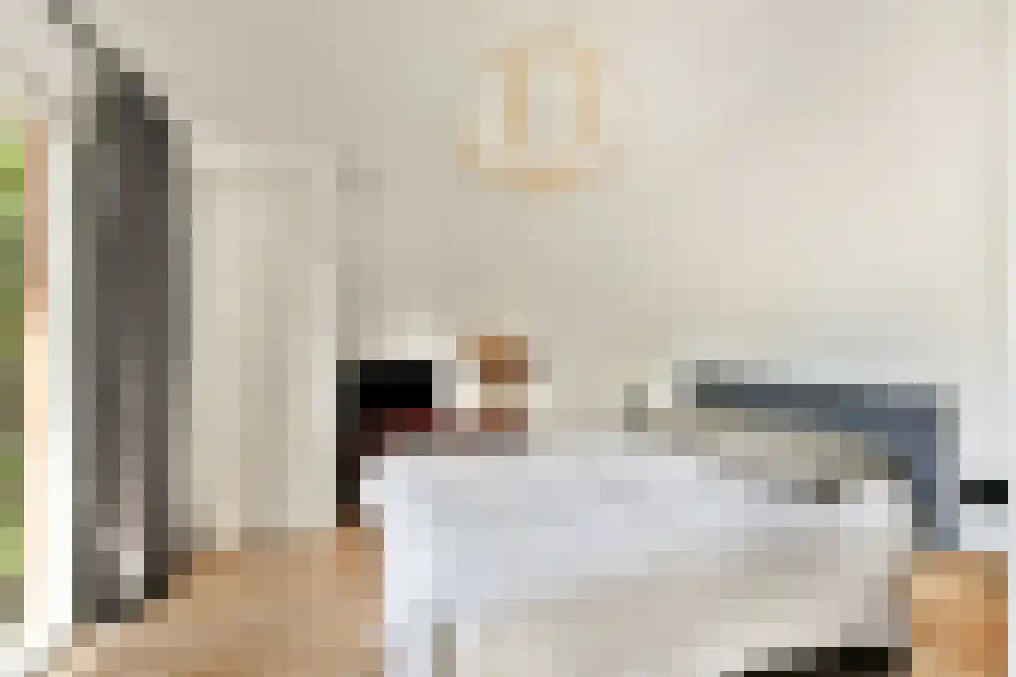Vijverlaan 6 Sassenheim thumbnail 26