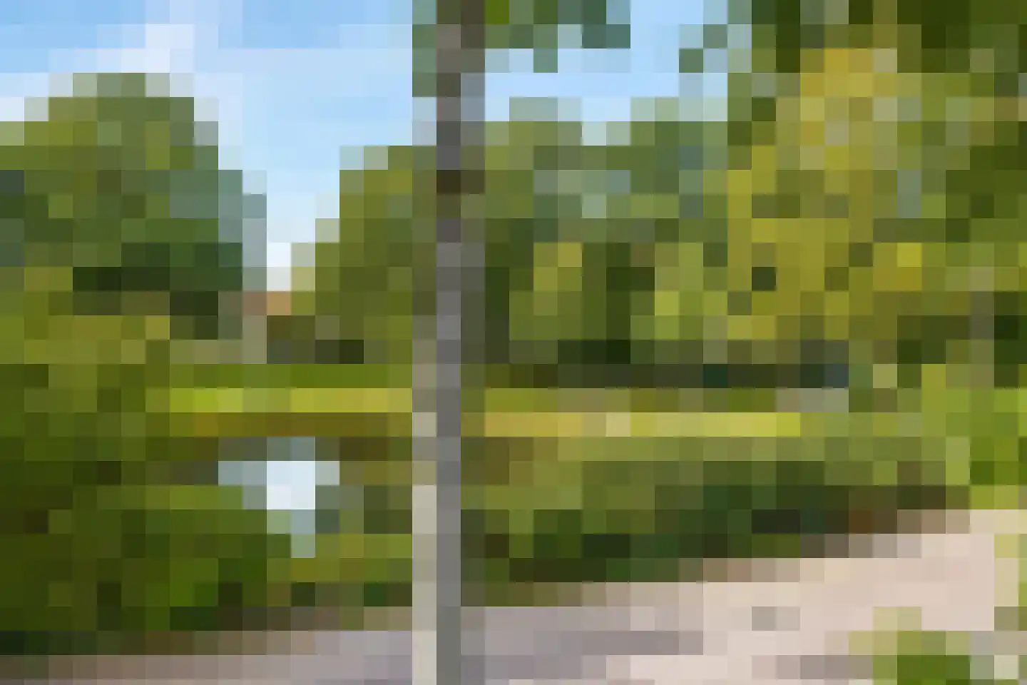 Vijverlaan 6 Sassenheim thumbnail 28