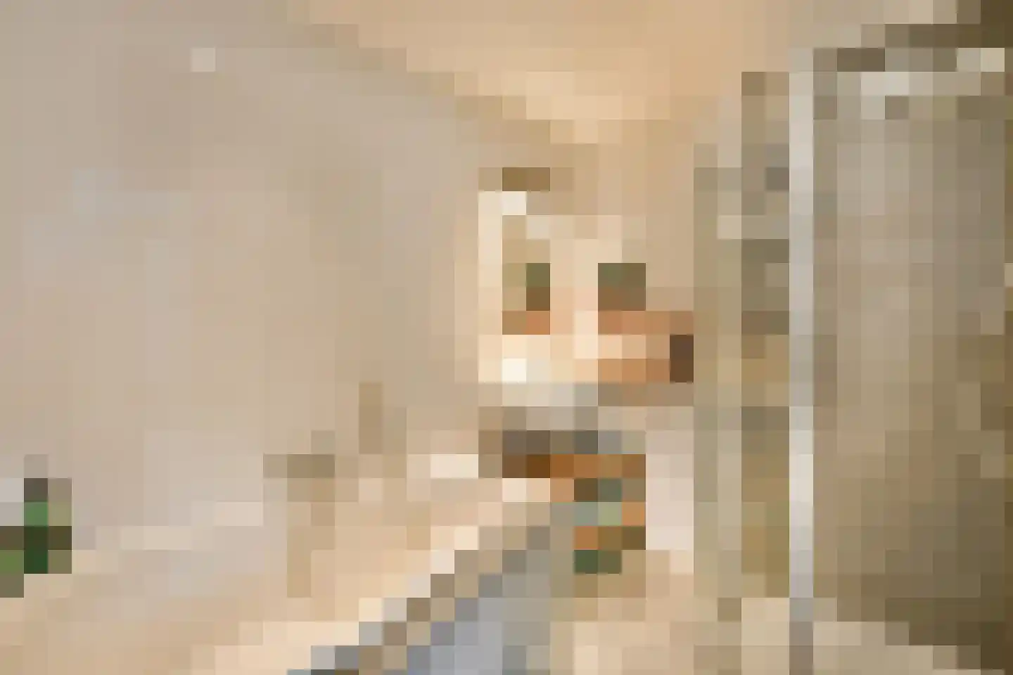Vijverlaan 6 Sassenheim thumbnail 29