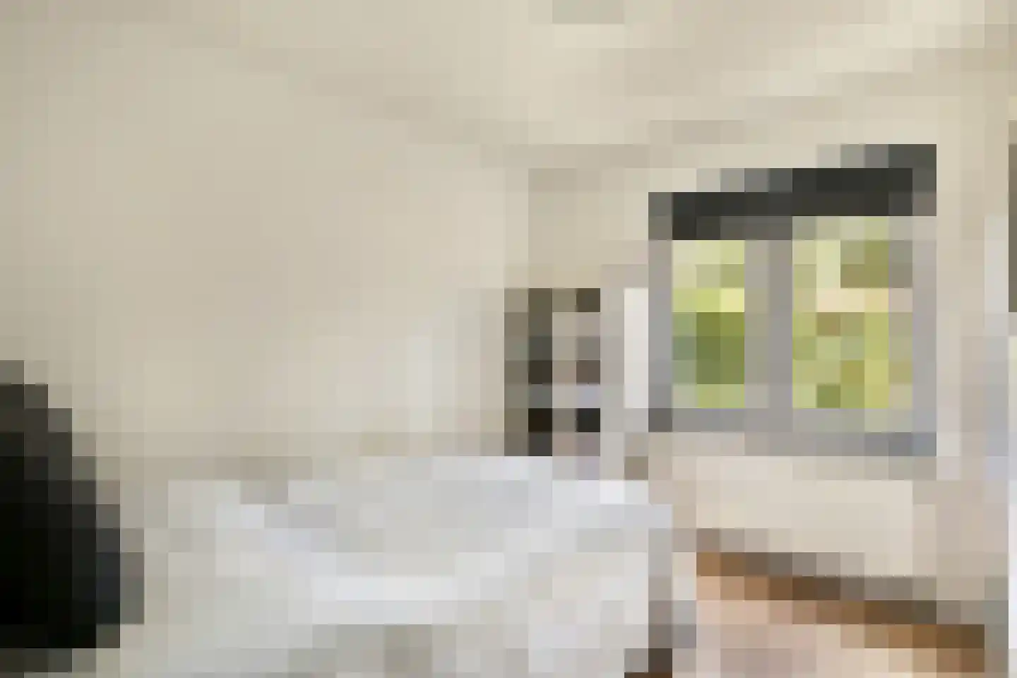 Vijverlaan 6 Sassenheim thumbnail 32