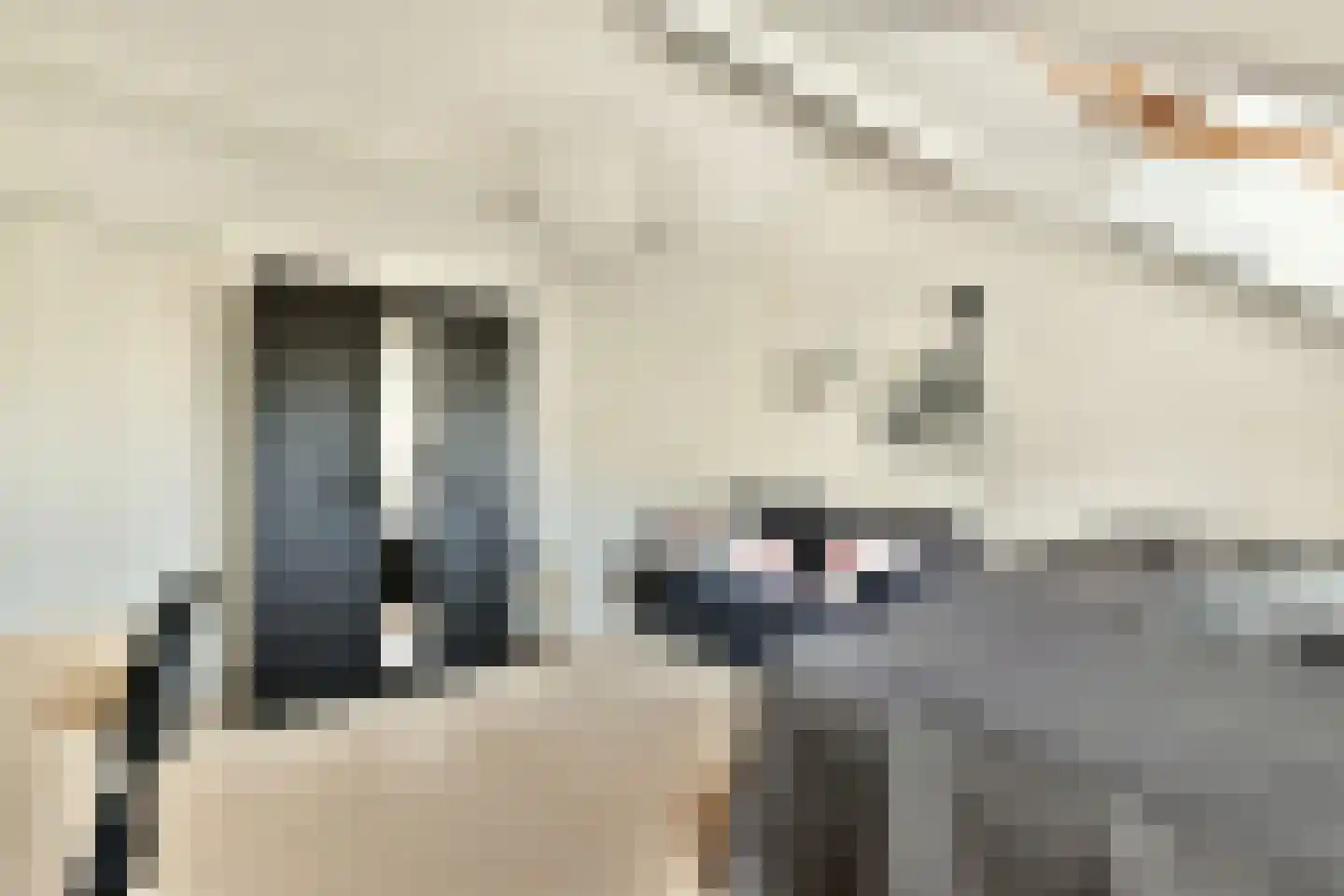 Vijverlaan 6 Sassenheim thumbnail 35