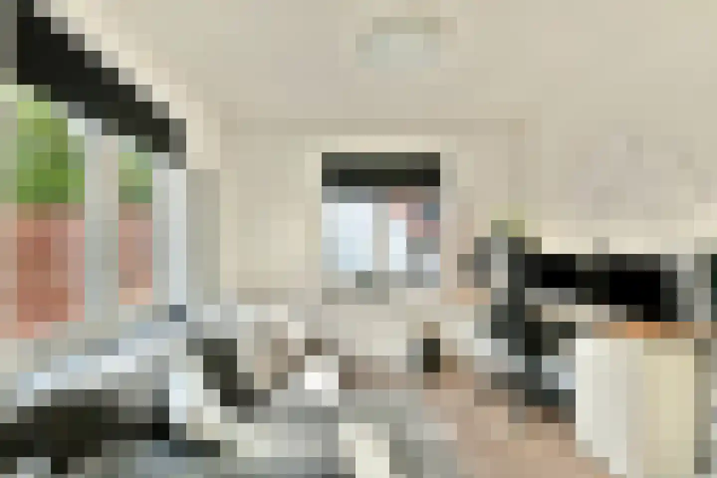 Vijverlaan 6 Sassenheim thumbnail 39