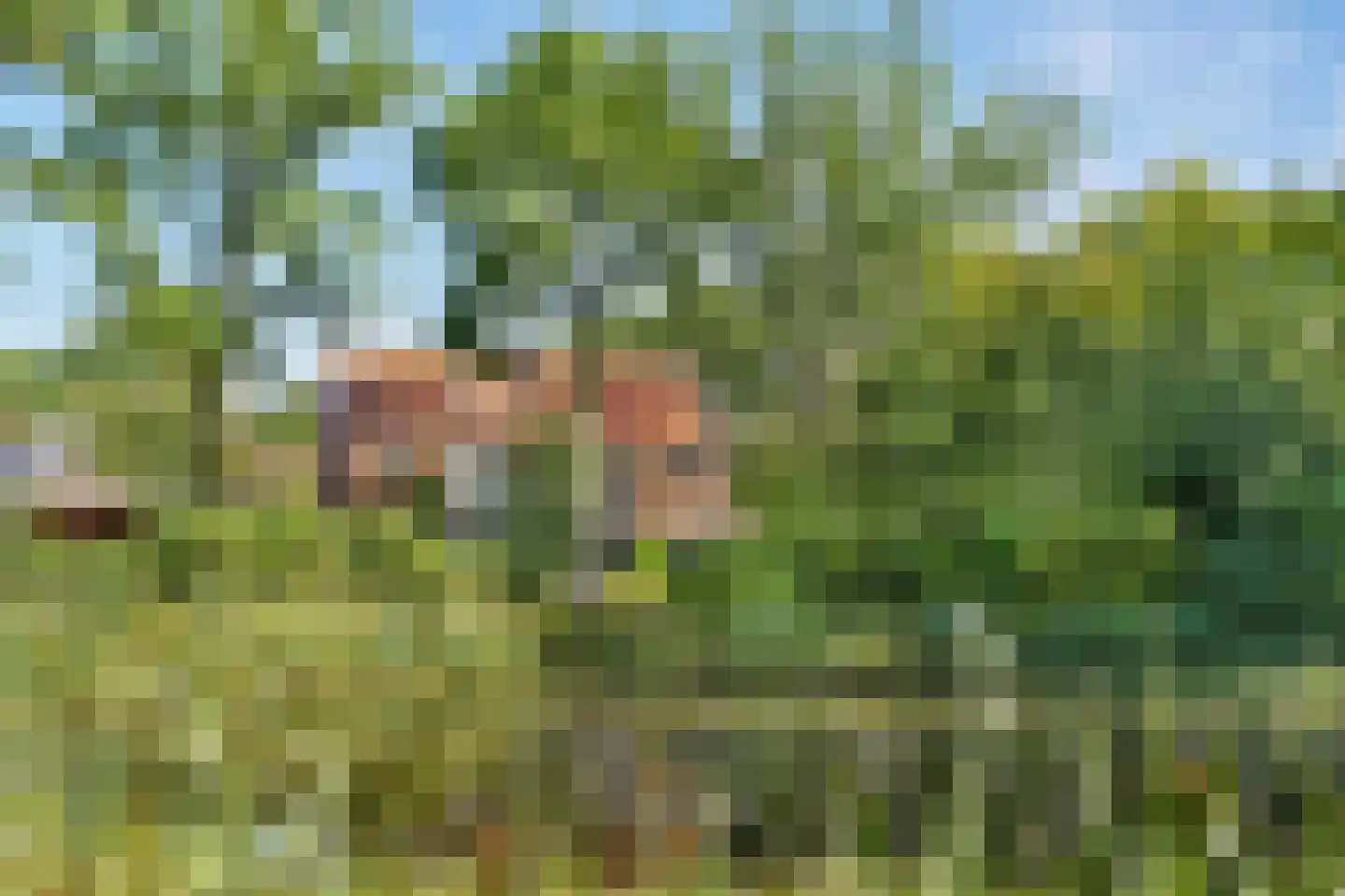Vijverlaan 6 Sassenheim thumbnail 4