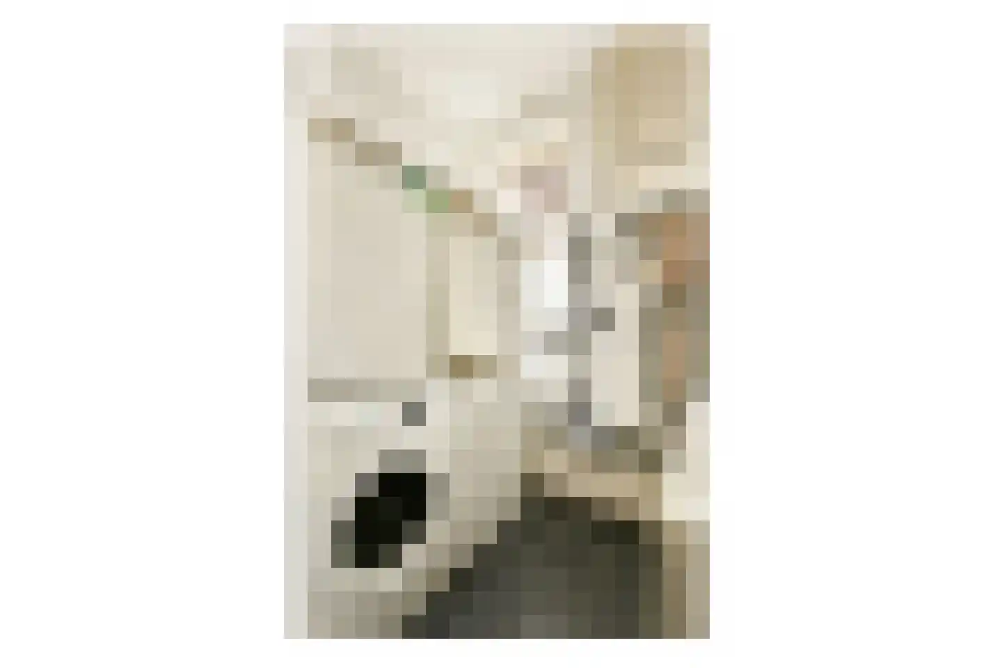 Vijverlaan 6 Sassenheim thumbnail 41