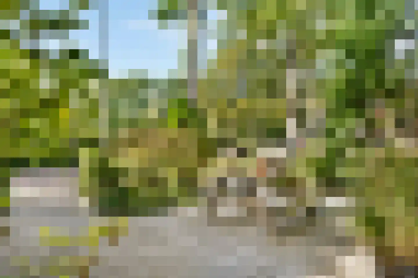 Vijverlaan 6 Sassenheim thumbnail 42
