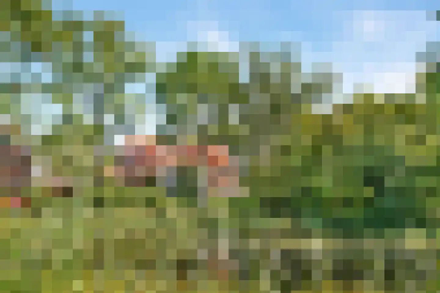 Vijverlaan 6 Sassenheim thumbnail 43