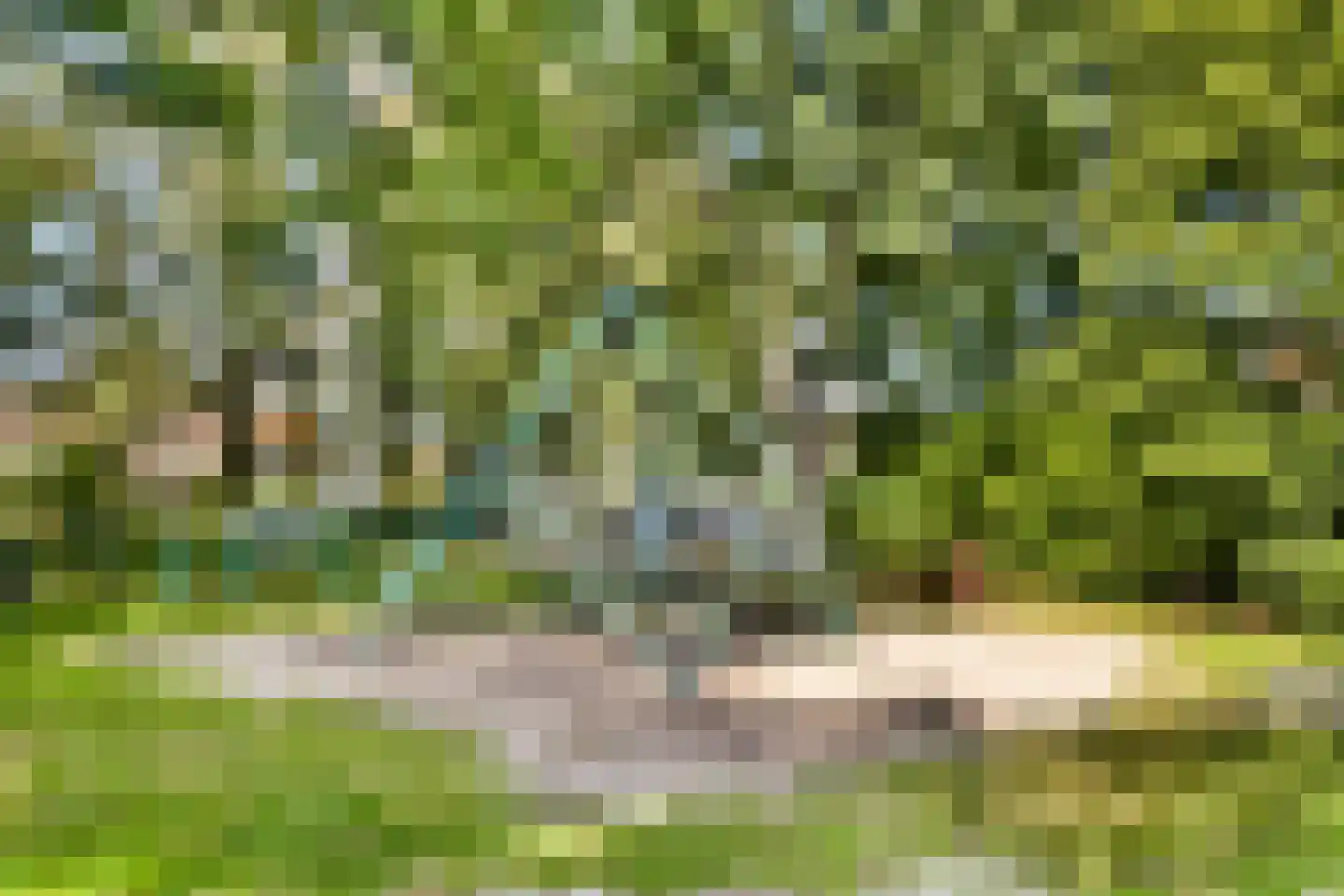 Vijverlaan 6 Sassenheim thumbnail 44