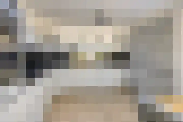 Vijverlaan 6 Uden thumbnail 13