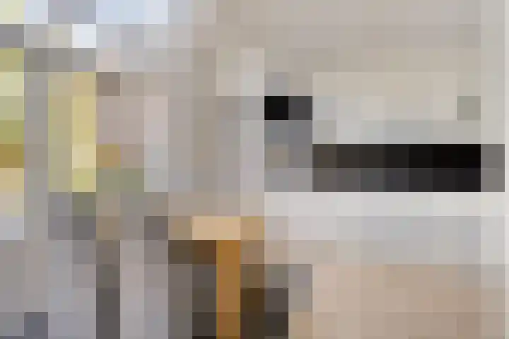 Vijverlaan 6 Uden thumbnail 14