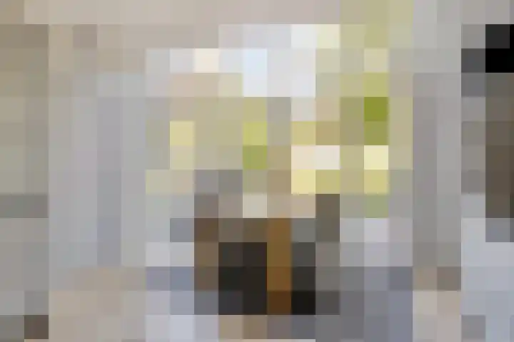 Vijverlaan 6 Uden thumbnail 15