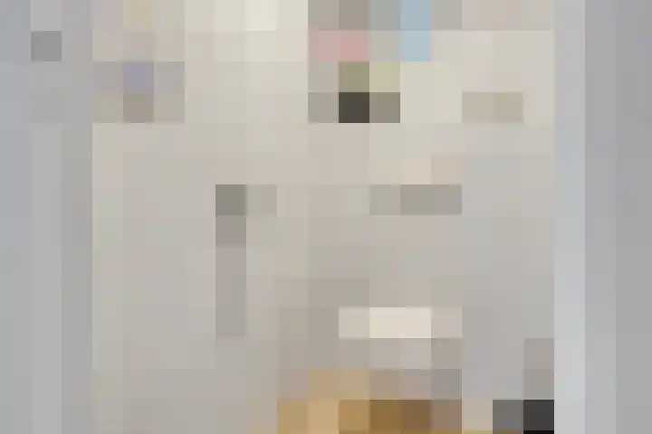Vijverlaan 6 Uden thumbnail 18