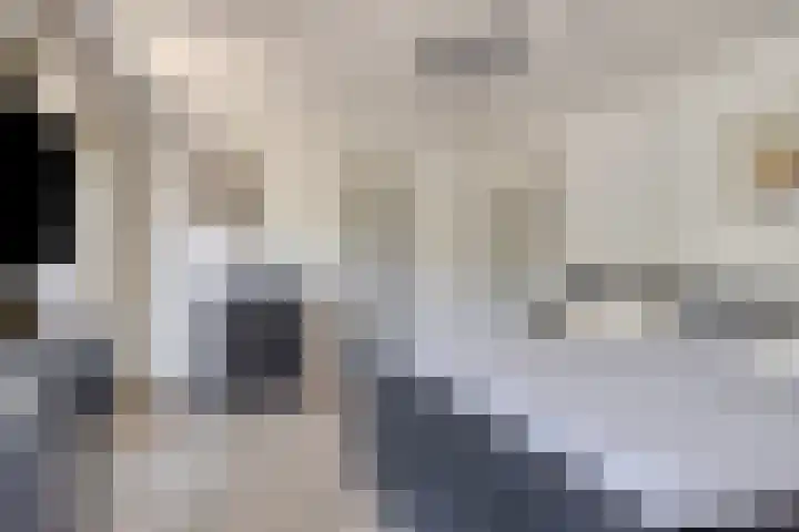 Vijverlaan 6 Uden thumbnail 20