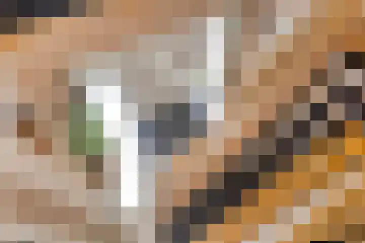 Vijverlaan 6 Uden thumbnail 24