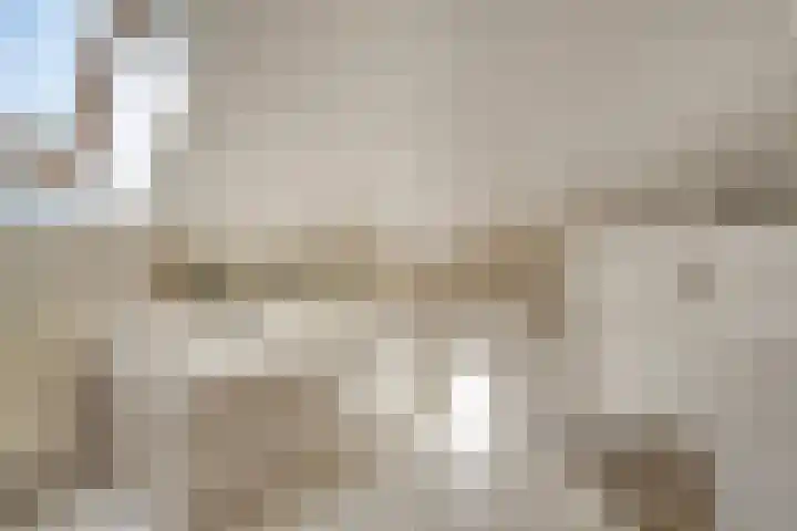 Vijverlaan 6 Uden thumbnail 32