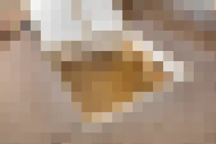 Vijverlaan 6 Uden thumbnail 35