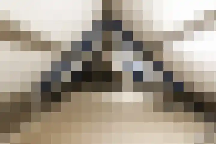 Vijverlaan 6 Uden thumbnail 38