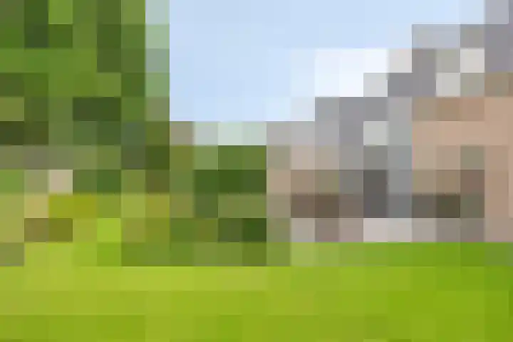 Vijverlaan 6 Uden thumbnail 43