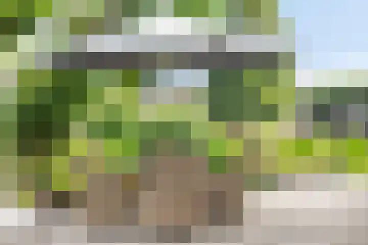 Vijverlaan 6 Uden thumbnail 47