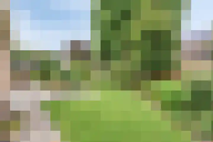 Vijverlaan 6 Uden thumbnail 48