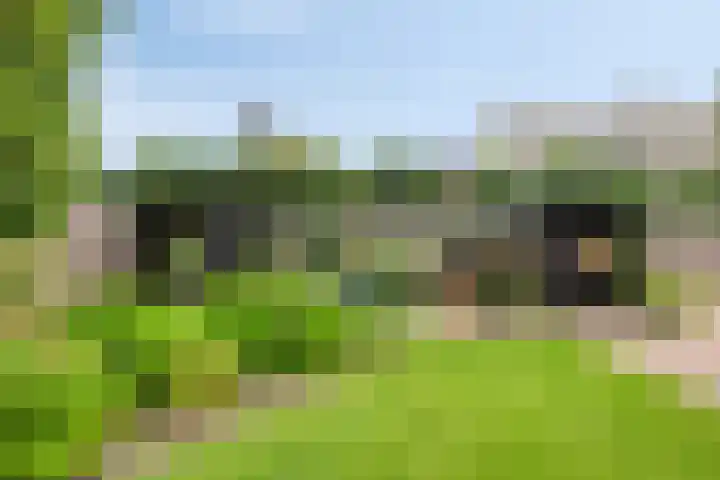 Vijverlaan 6 Uden thumbnail 49