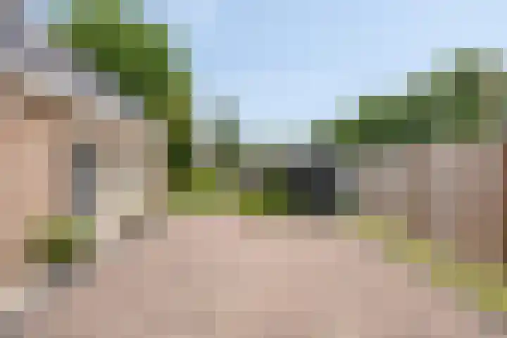 Vijverlaan 6 Uden thumbnail 50