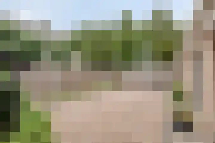 Vijverlaan 6 Uden thumbnail 51