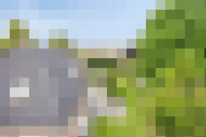 Vijverlaan 6 Uden thumbnail 52