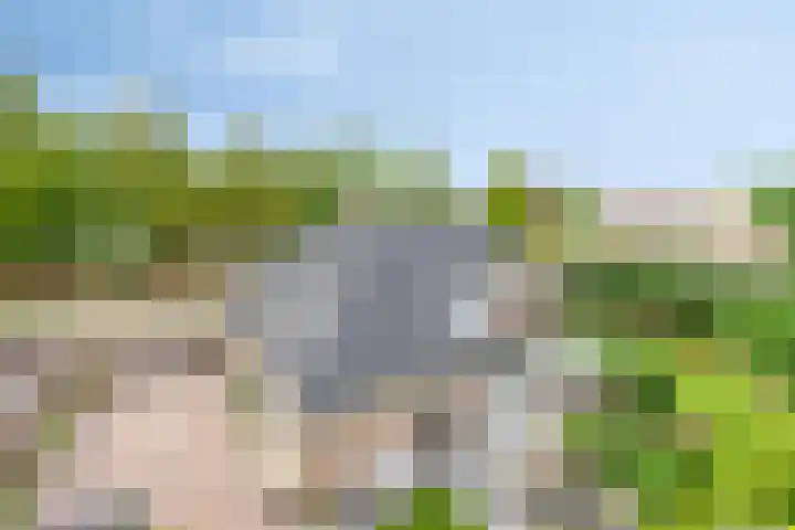 Vijverlaan 6 Uden thumbnail 53