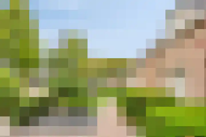 Vijverlaan 6 Uden thumbnail 54