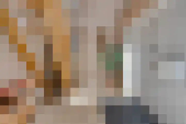 Vijverlaan 6 Uden thumbnail 6
