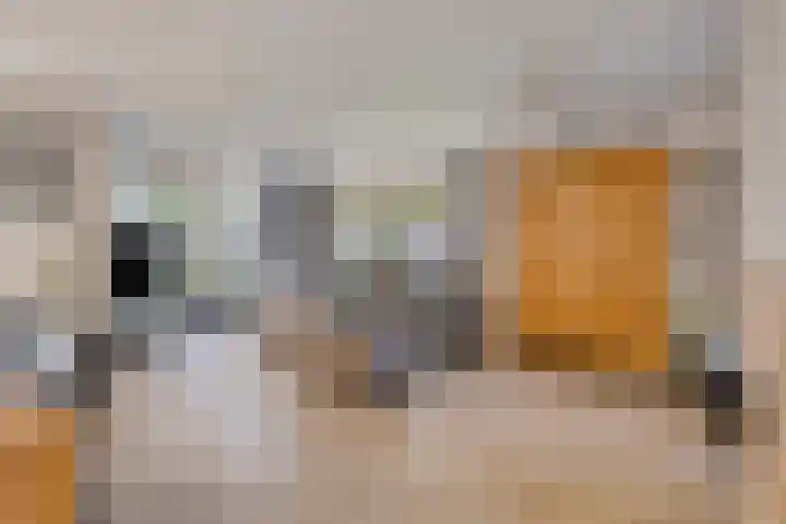 Vijverlaan 6 Uden thumbnail 8