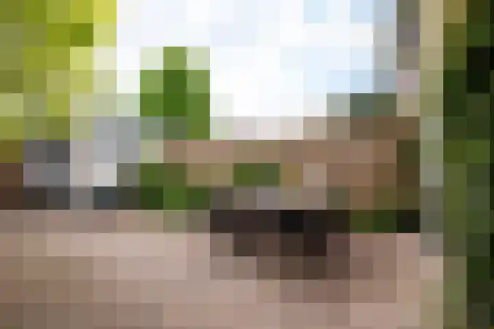 Vijverlaan 6 Vreeland thumbnail 28