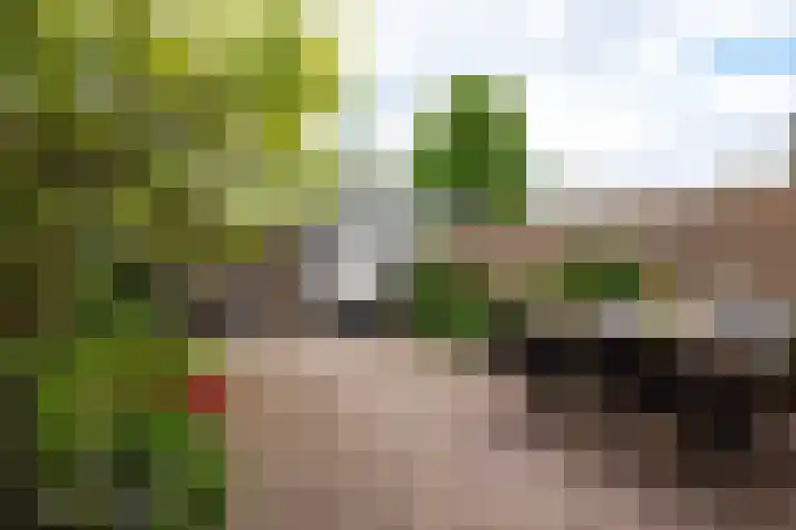 Vijverlaan 6 Vreeland thumbnail 29