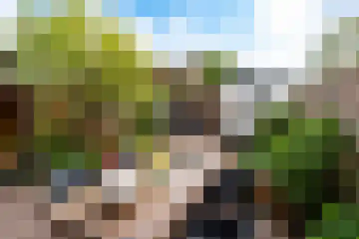 Vijverlaan 6 Vreeland thumbnail 30