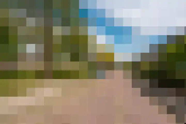Vijverlaan 6 Vreeland thumbnail 35