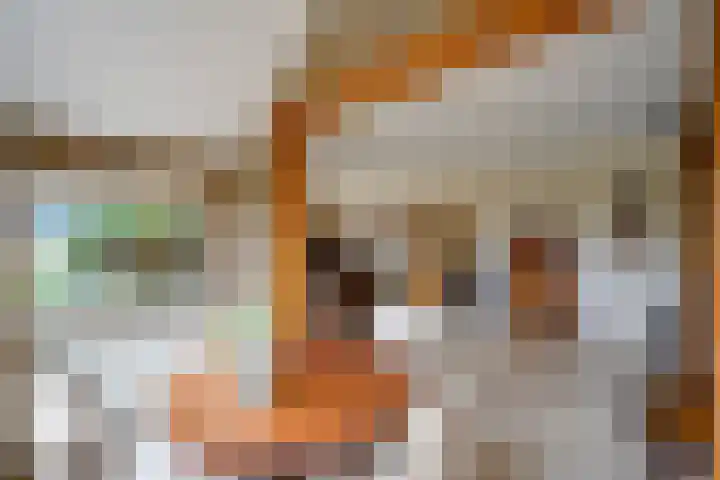 Vijverlaan 7 Scherpenzeel thumbnail 11